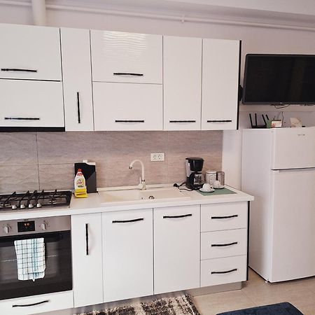 Mirvana Apartments Allure Studio ティミショアラ エクステリア 写真