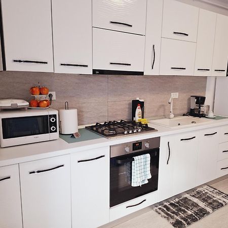 Mirvana Apartments Allure Studio ティミショアラ エクステリア 写真
