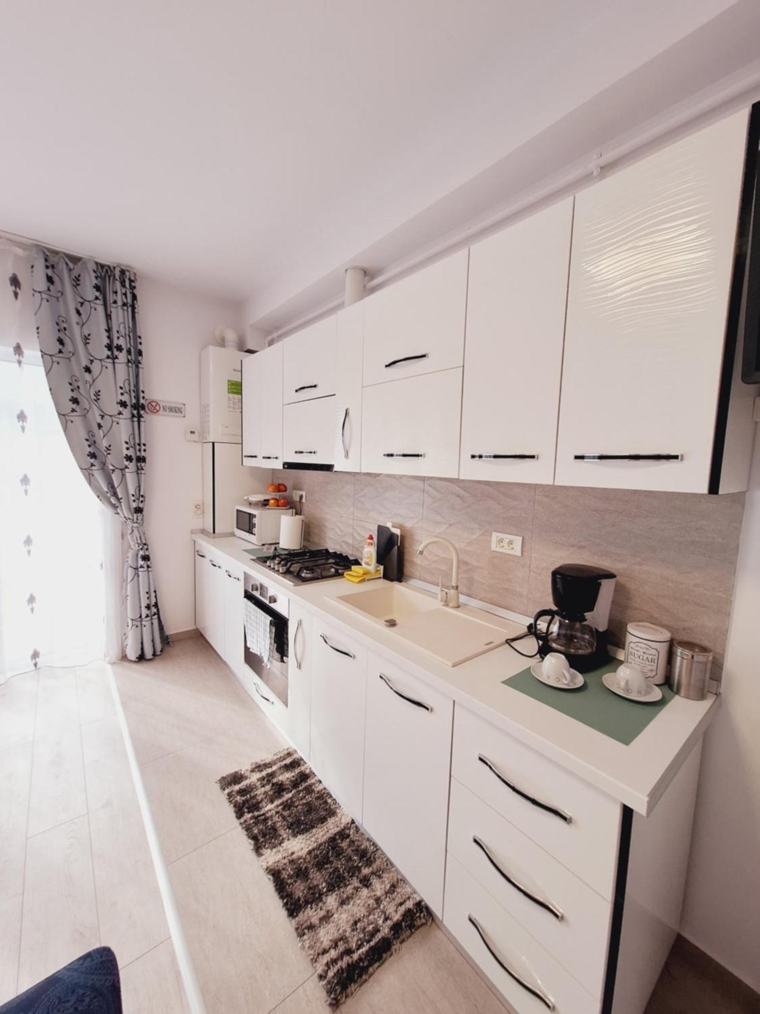 Mirvana Apartments Allure Studio ティミショアラ エクステリア 写真