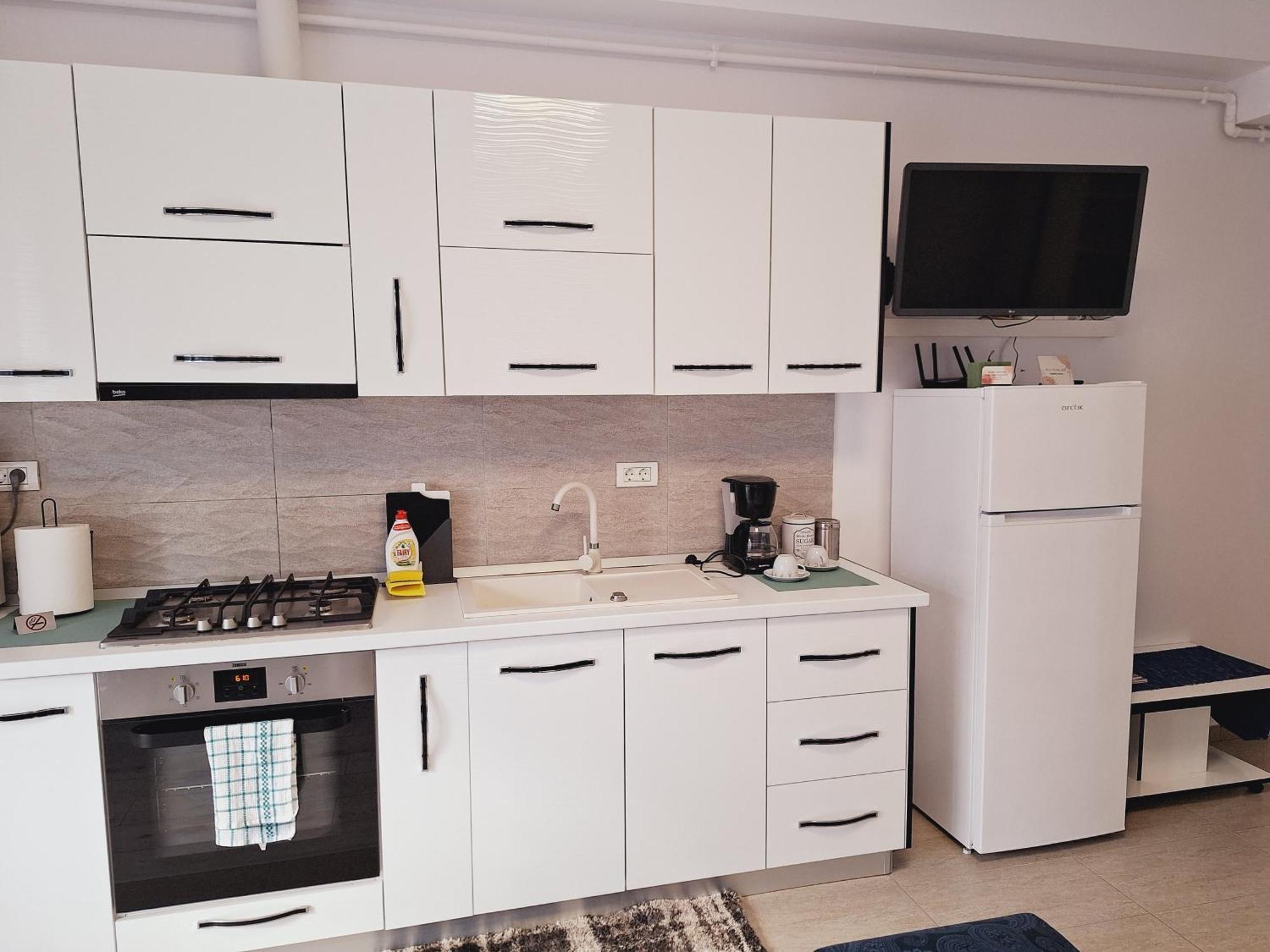 Mirvana Apartments Allure Studio ティミショアラ エクステリア 写真